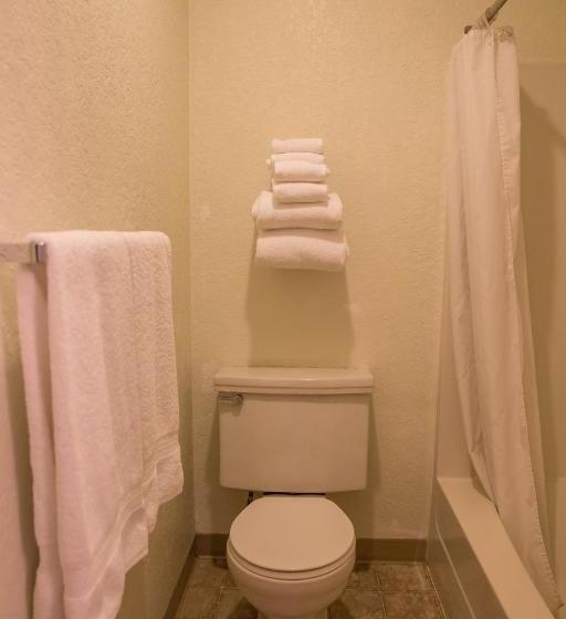 فندق على الطريق Downtowner Inn