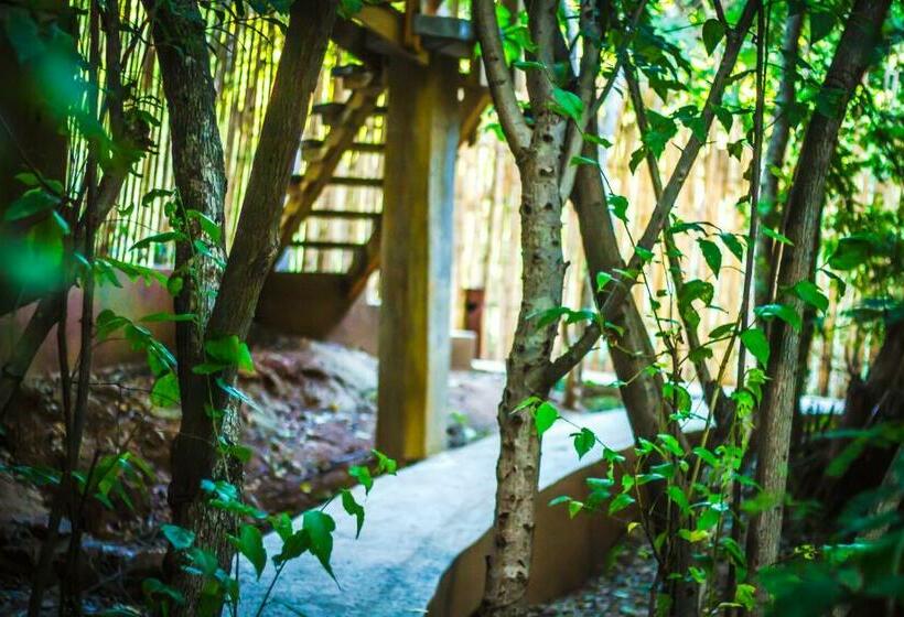 فندق صغير Posada Nuuna Mazunte