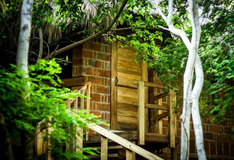 فندق صغير Posada Nuuna Mazunte