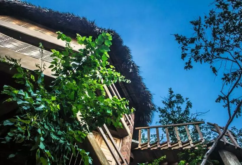 ユースホステル Posada Nuuna Mazunte