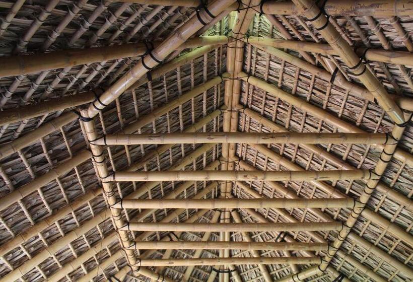 فندق صغير Posada Nuuna Mazunte