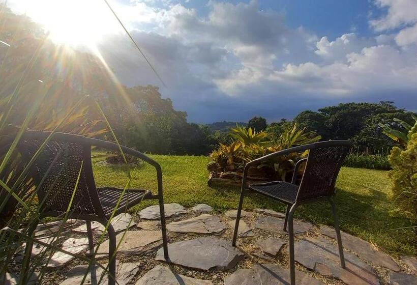 Bed and Breakfast Wayra Natura