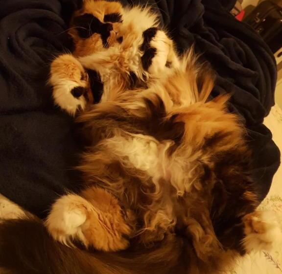 ペンション Charme Do Dido