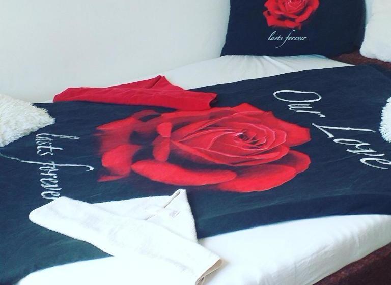 膳宿费 Penzion Nicol