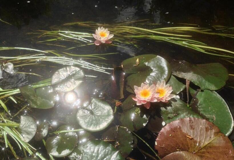 B&b Mühlenvilla Am Bützower Hafen