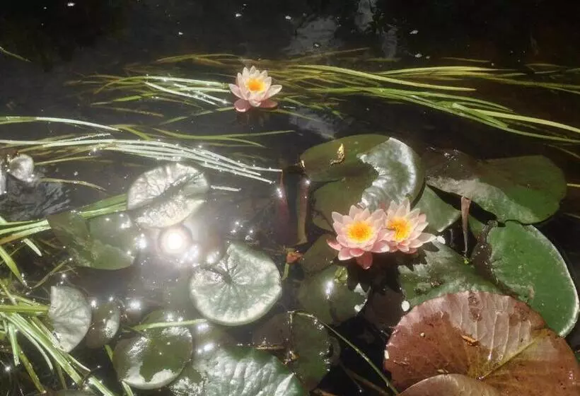 B&b Mühlenvilla Am Bützower Hafen