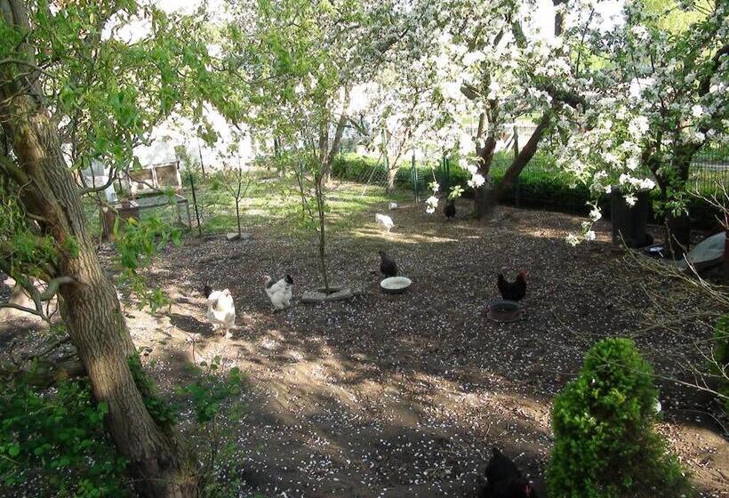 B&b Mühlenvilla Am Bützower Hafen