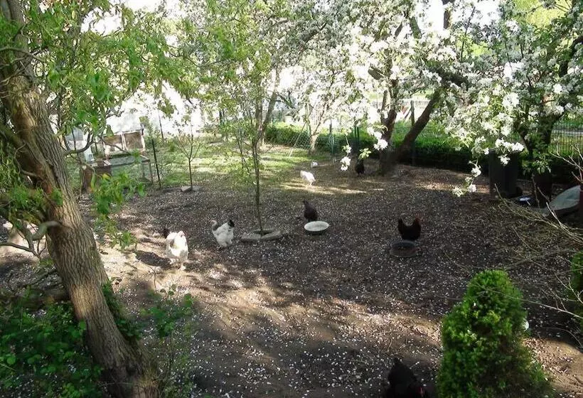 B&b Mühlenvilla Am Bützower Hafen