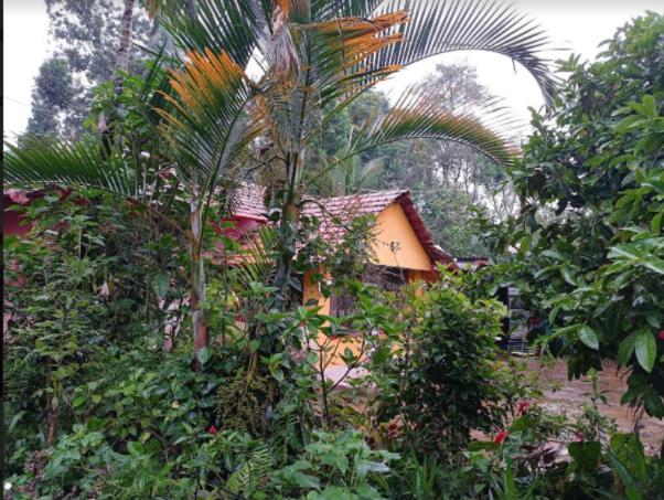 Aamiaismajoitus (B&B) Dreams Home Estate Stay 2