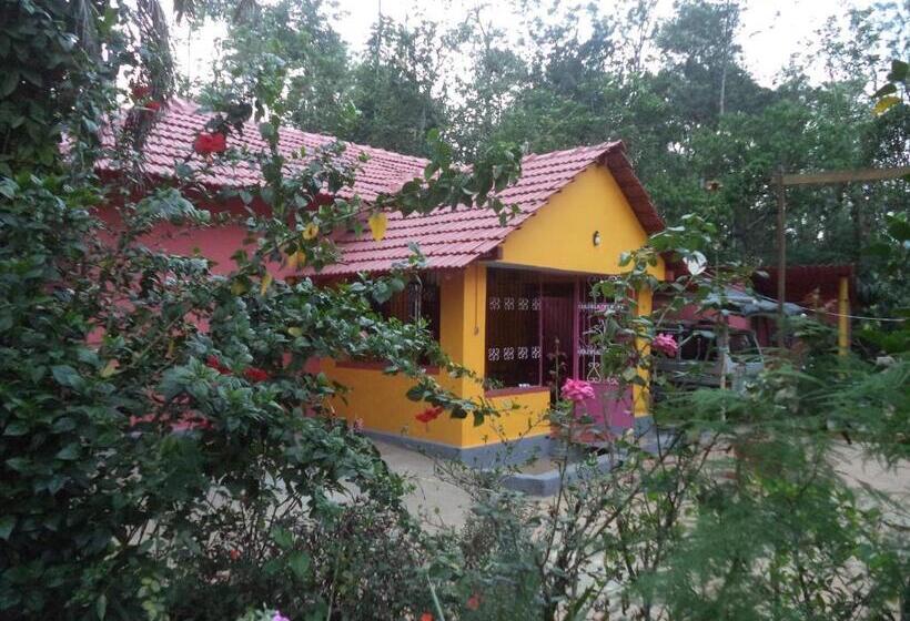 Aamiaismajoitus (B&B) Dreams Home Estate Stay 2