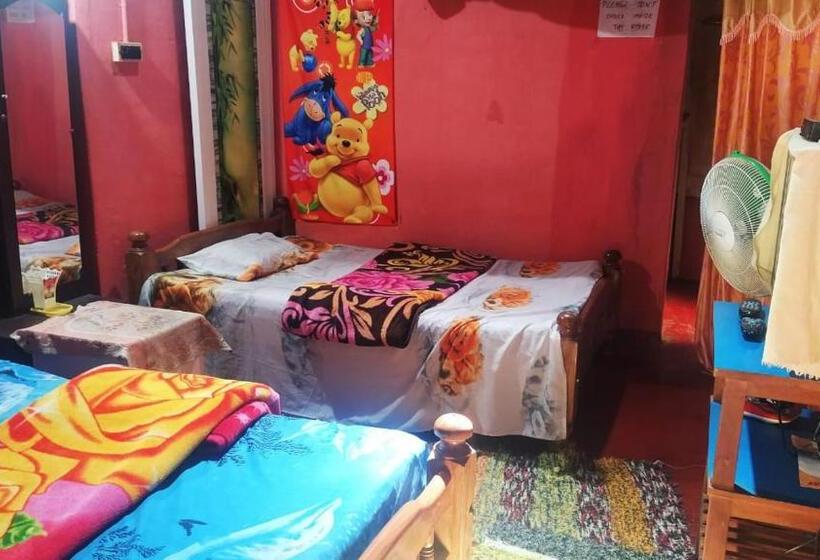 Aamiaismajoitus (B&B) Dreams Home Estate Stay 2