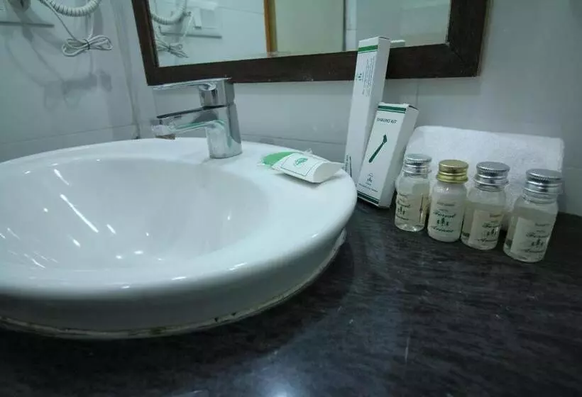 Forest Avenue   Best Luxury Hotel In Dehradun