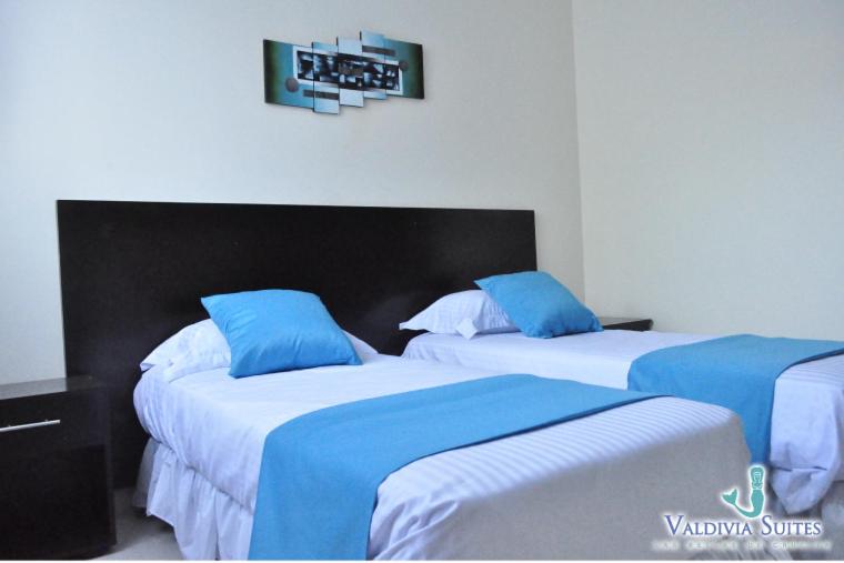 Отель Valdivia Suites