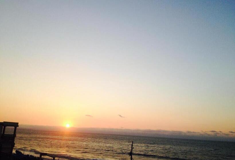 Отель Valdivia Suites