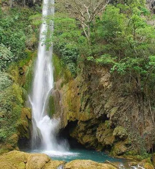 ペンション Cabañas Sierraverde Huasteca Potosina
