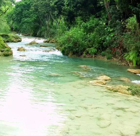 ペンション Cabañas Sierraverde Huasteca Potosina