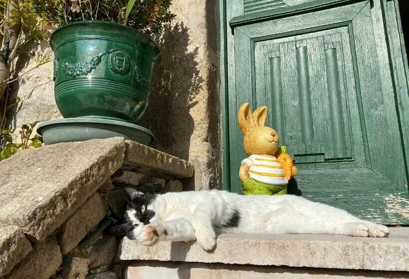 פנסיון Le Clos St Georges