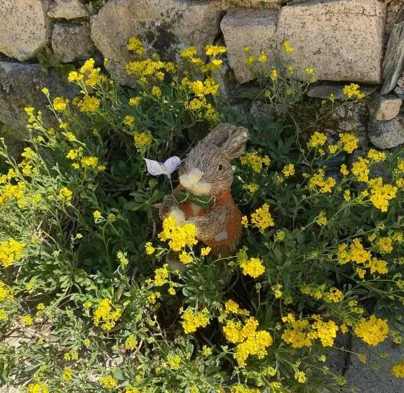 ペンション Le Clos St Georges