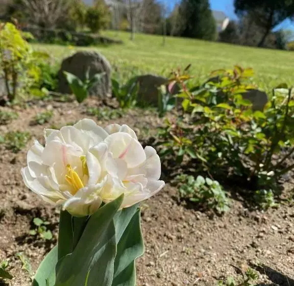 ペンション Le Clos St Georges