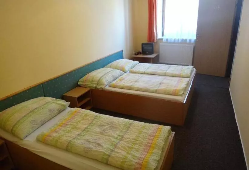 ペンション Penzion U Bednářů