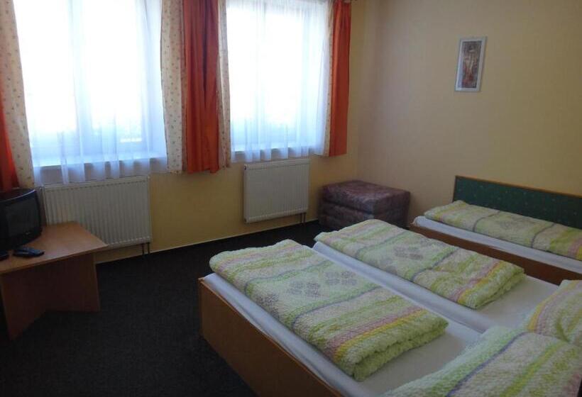 펜션 Penzion U Bednářů