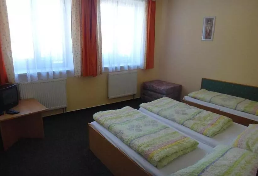 ペンション Penzion U Bednářů