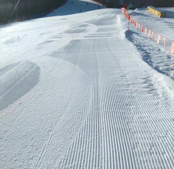 ペンション Penzion U Bečvy