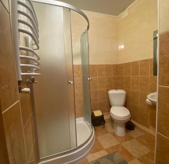 リゾートホテル Edelweiss Carpathians Migovo