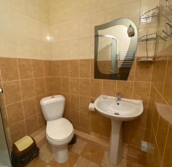 リゾートホテル Edelweiss Carpathians Migovo