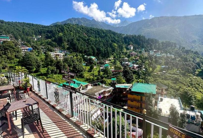 مبيت وإفطار Backpackers Inn