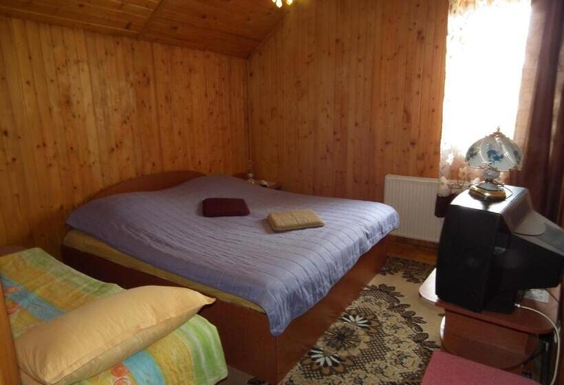 Bed and Breakfast Pensiunea Ando