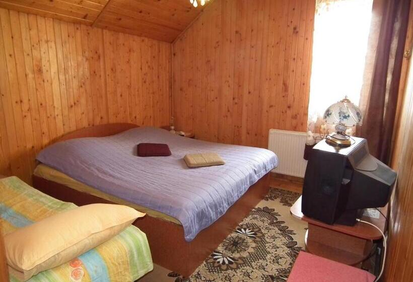 Bed and Breakfast Pensiunea Ando