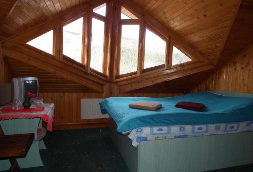 Bed and Breakfast Pensiunea Ando