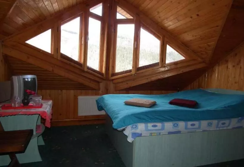 ベッドアンドブレックファースト Pensiunea Ando