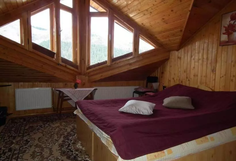 ベッドアンドブレックファースト Pensiunea Ando