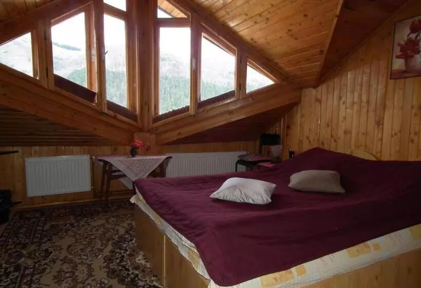 ベッドアンドブレックファースト Pensiunea Ando