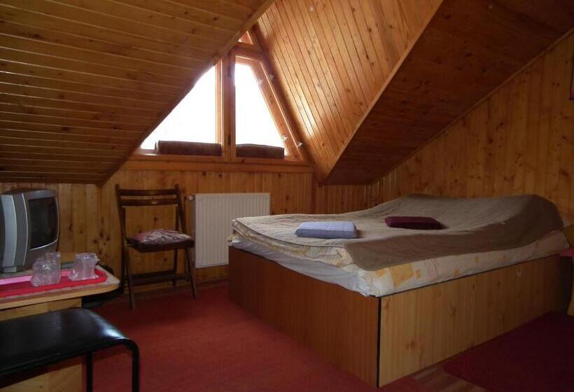 Bed and Breakfast Pensiunea Ando