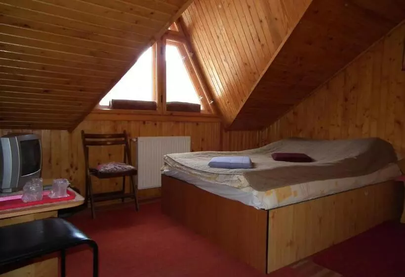 ベッドアンドブレックファースト Pensiunea Ando