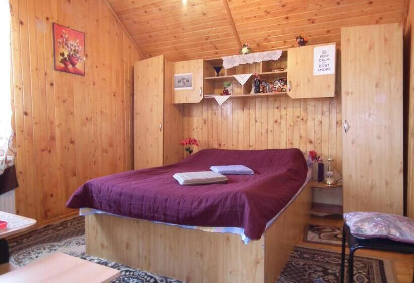 Bed and Breakfast Pensiunea Ando