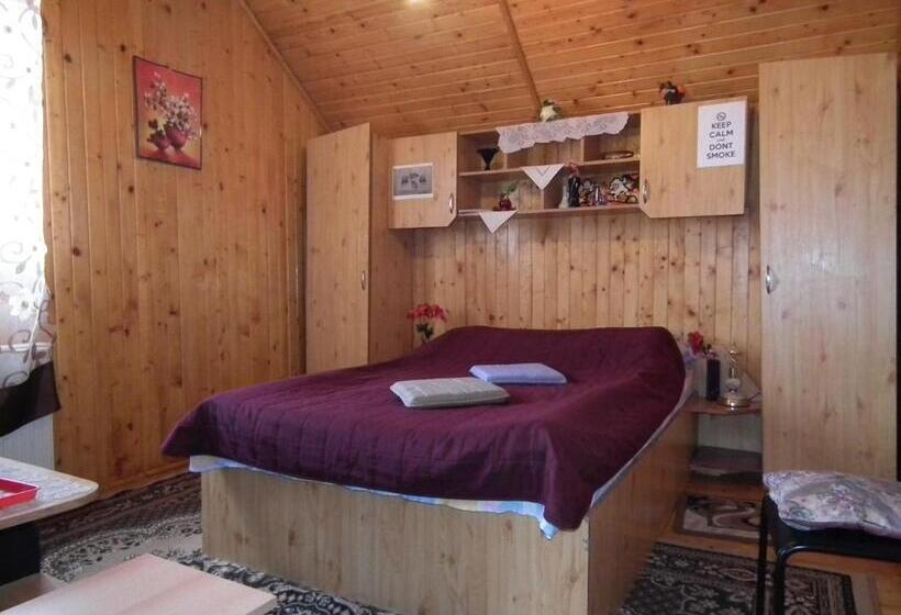 Bed and Breakfast Pensiunea Ando