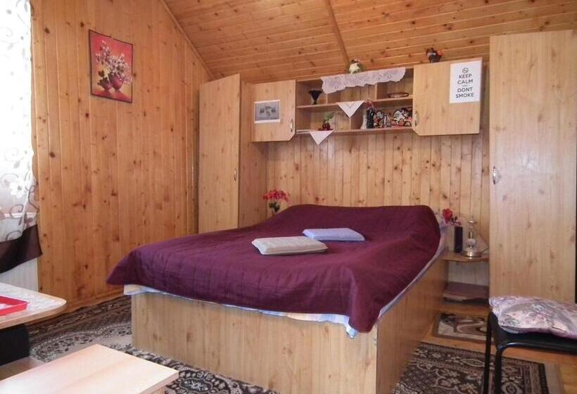 Bed and Breakfast Pensiunea Ando