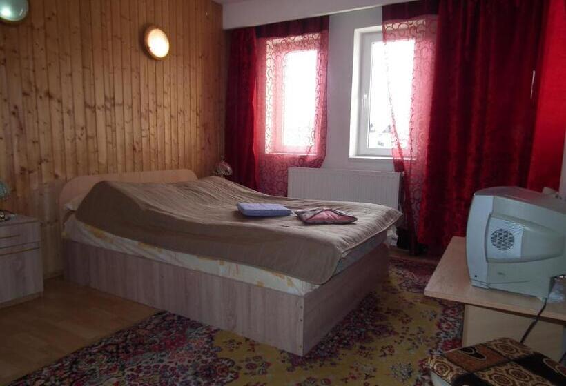 Bed and Breakfast Pensiunea Ando