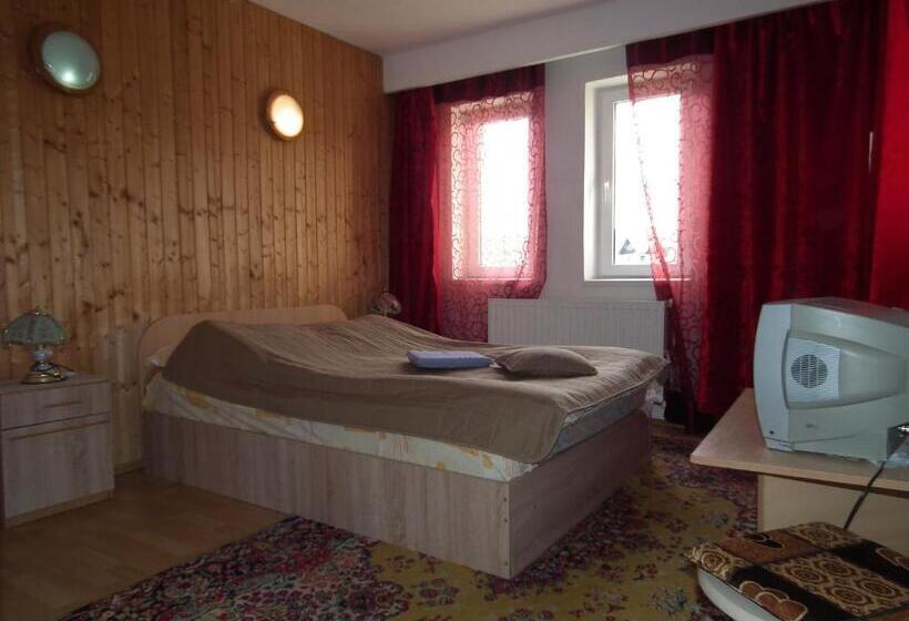 Bed and Breakfast Pensiunea Ando