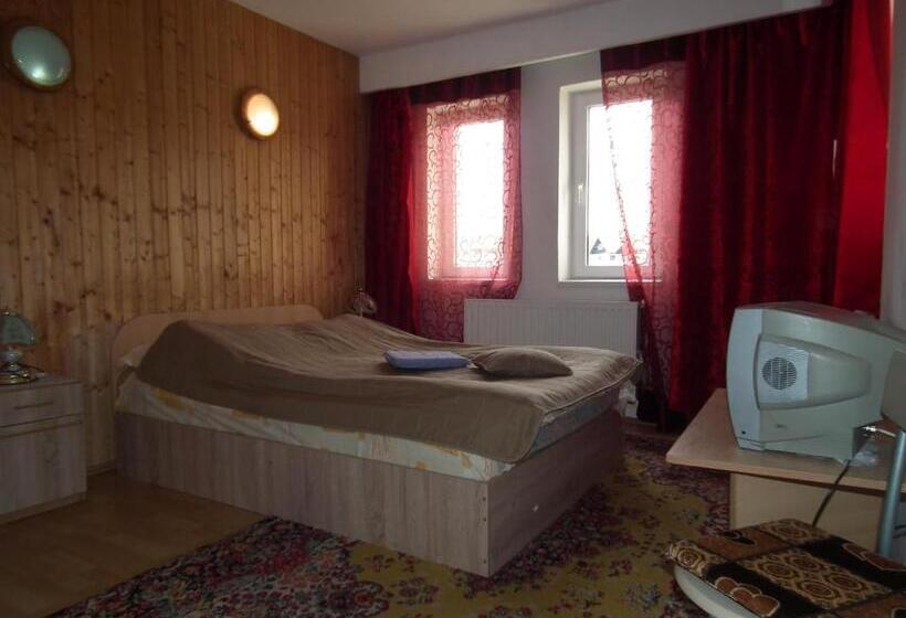 Bed and Breakfast Pensiunea Ando