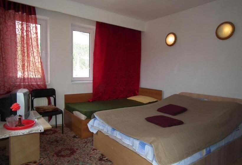 Bed and Breakfast Pensiunea Ando