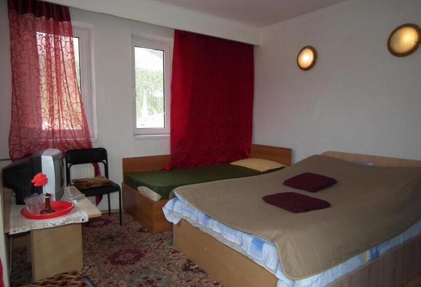 Bed and Breakfast Pensiunea Ando