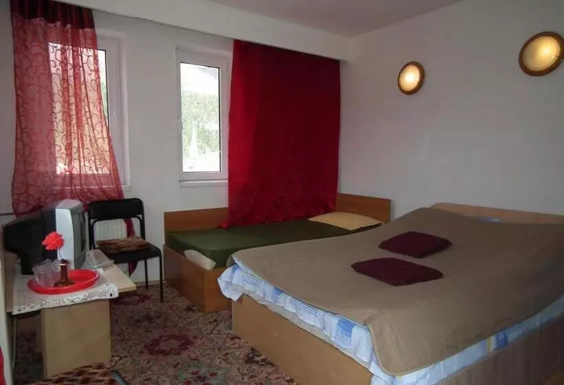 ベッドアンドブレックファースト Pensiunea Ando