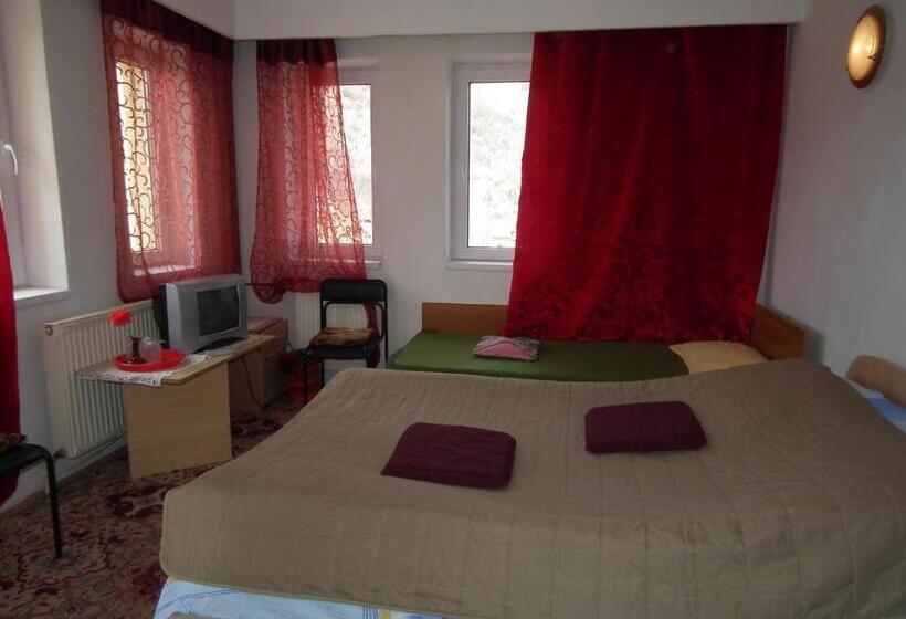 Bed and Breakfast Pensiunea Ando