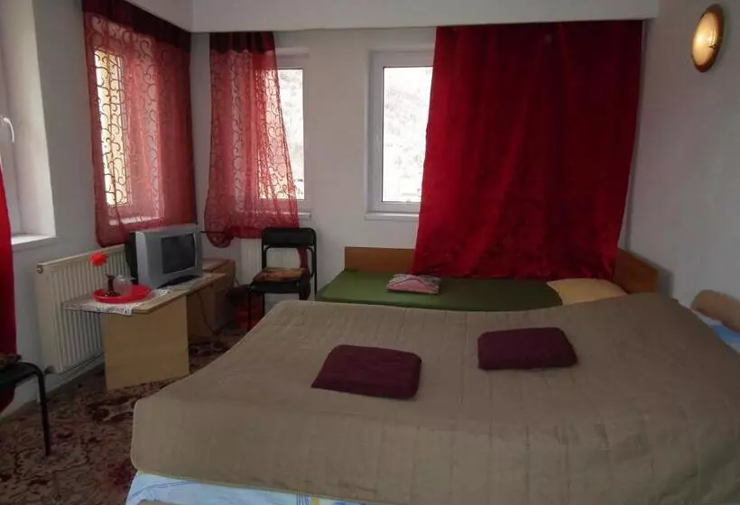 ベッドアンドブレックファースト Pensiunea Ando