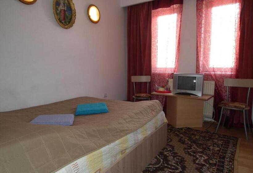 Bed and Breakfast Pensiunea Ando